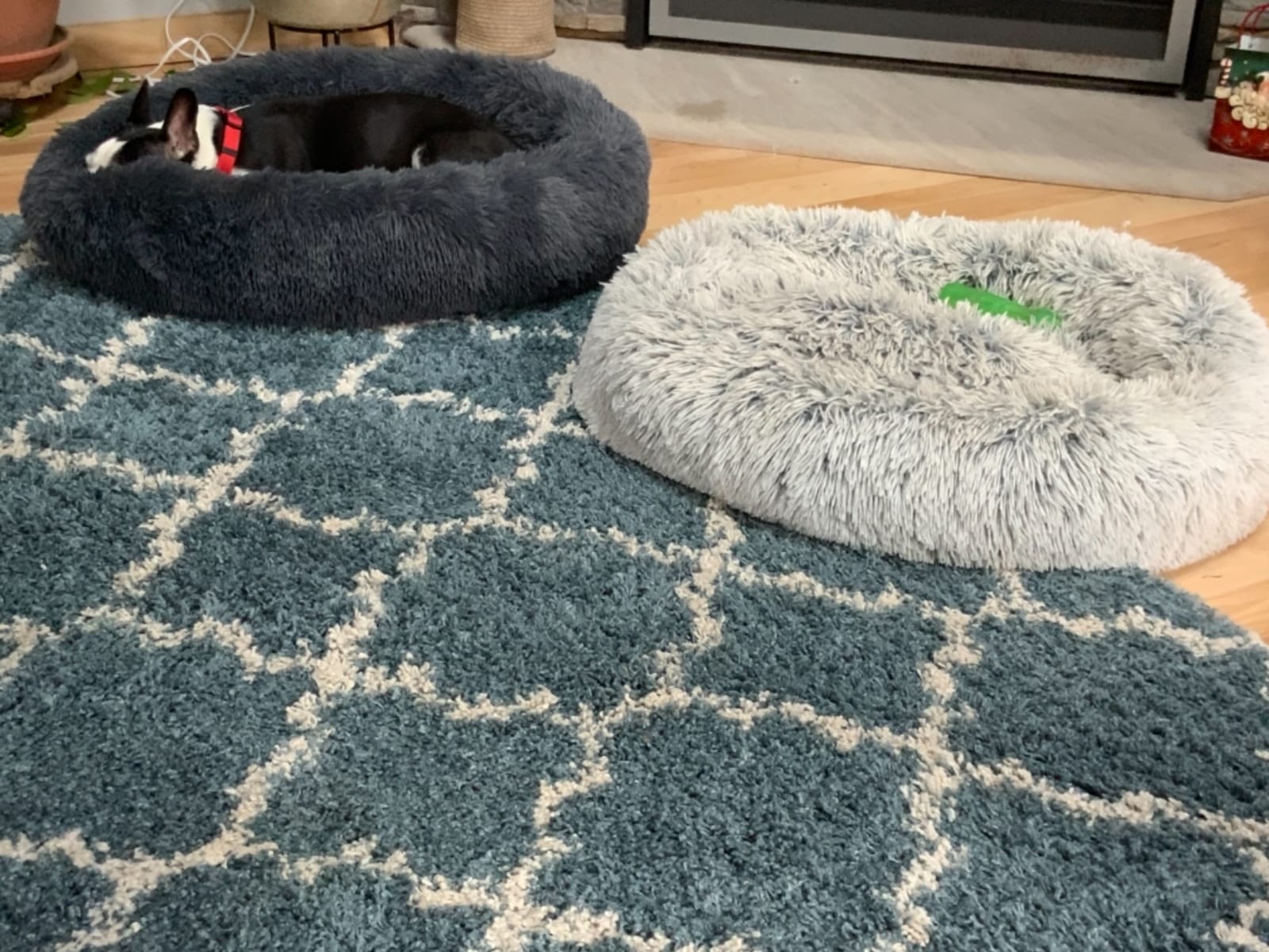 SAVFOX 30 inches Calming Donut Dog Bed - 3X Durable Plush Faux Fur, Machine Washable & Non-Slip, Fits up to 45 lbs, Beige customer photo 1