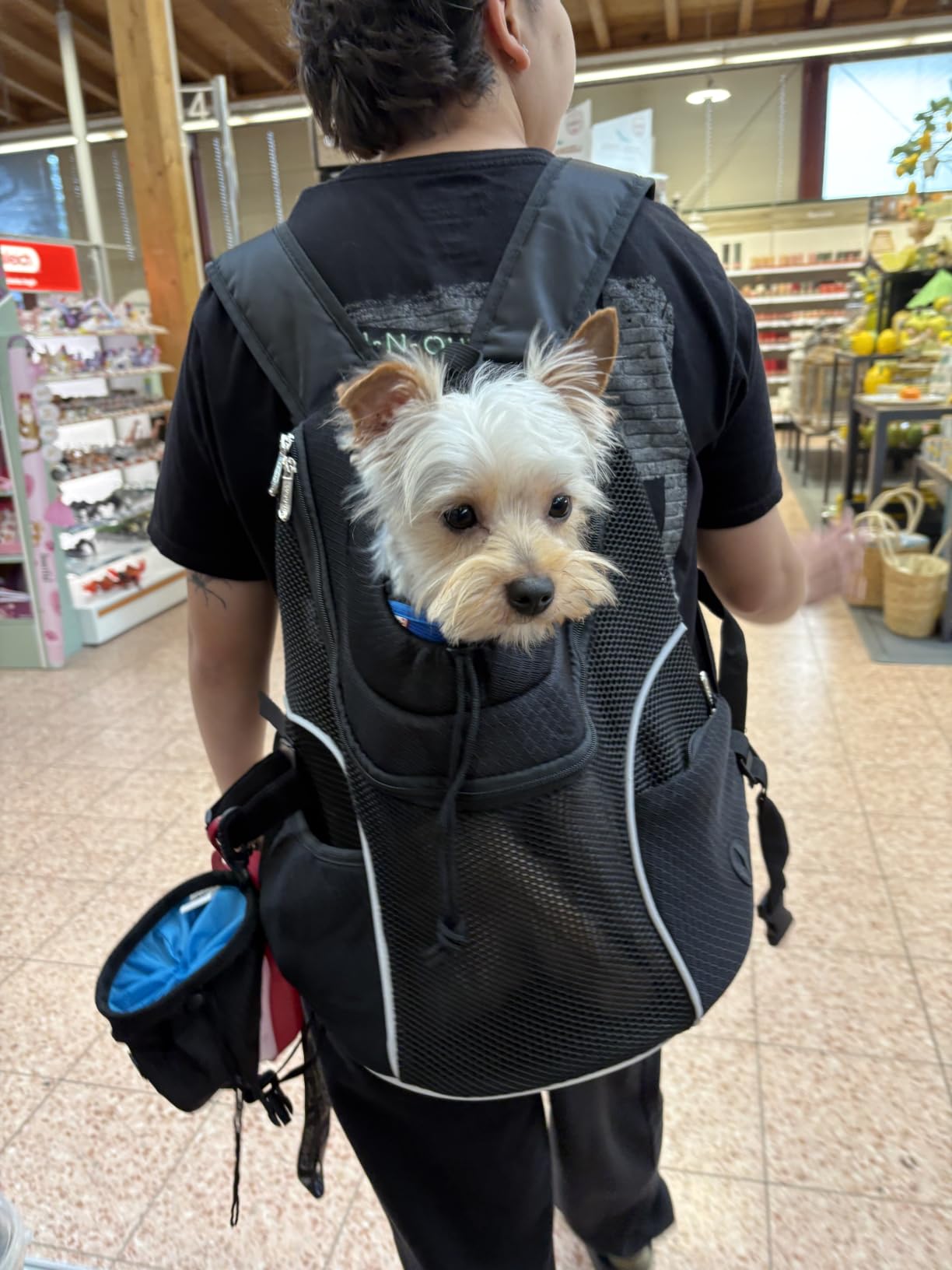 WOYYHO Pet Dog Carrier Backpack, Ventilated Mesh Small Dog Front Backpack customer photo 2