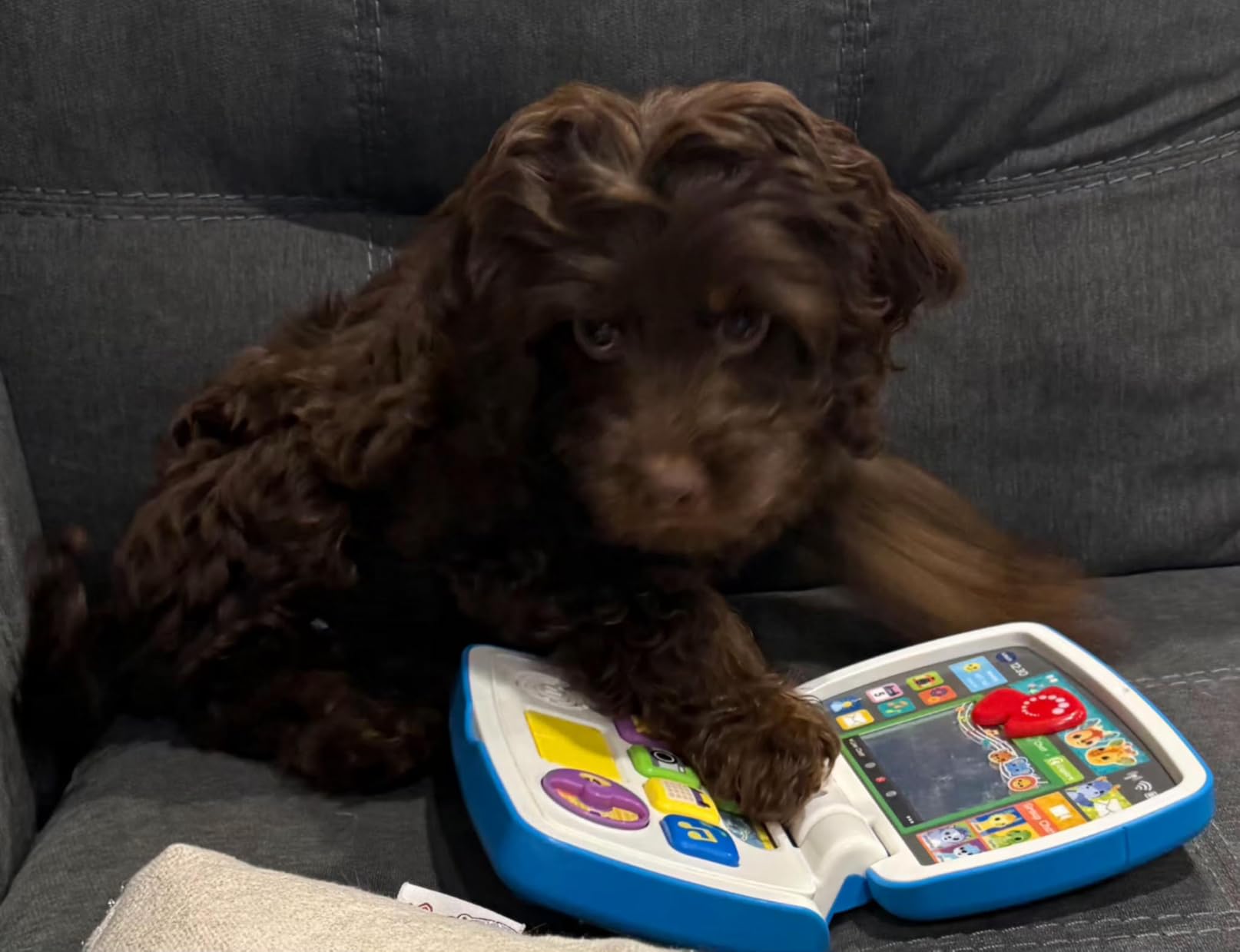 VTech Toddler Tech Laptop customer photo 2