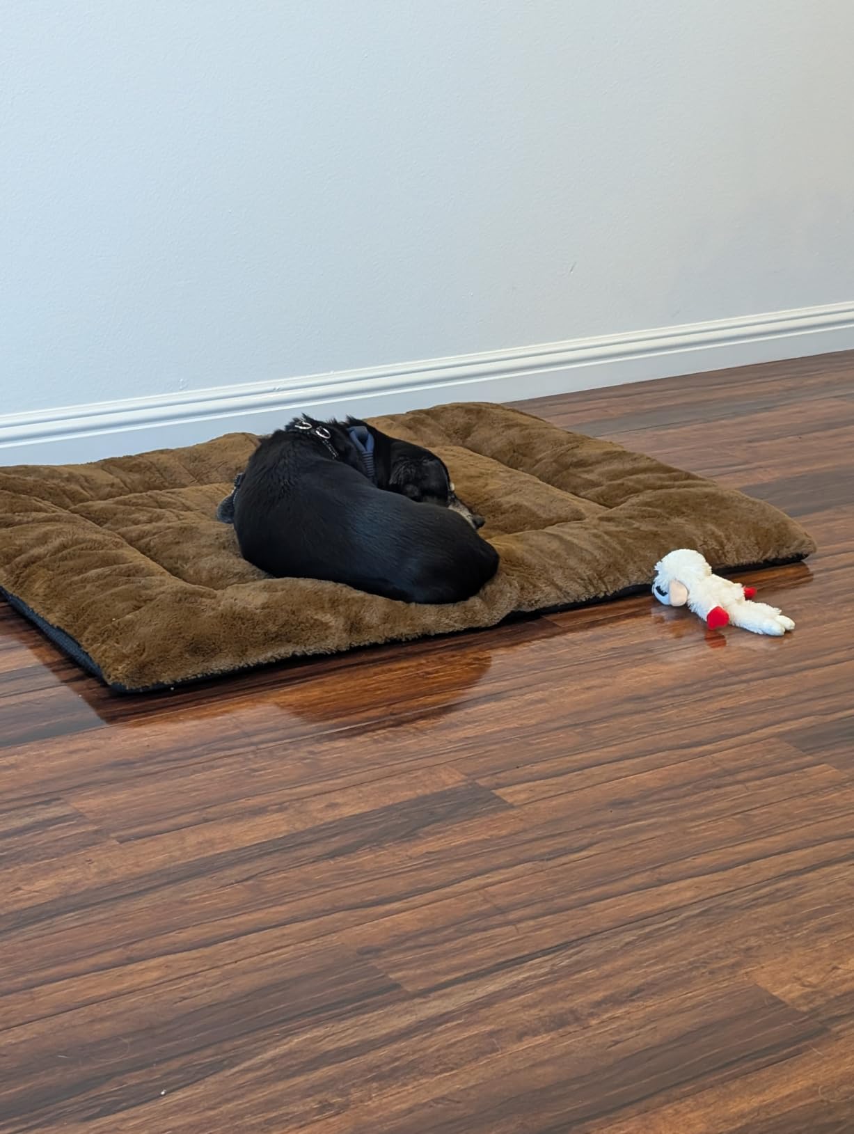 Dog Crate Pad Washable Dog Bed for Crate Large Cozy Mat 42-Inch Gray customer photo 2