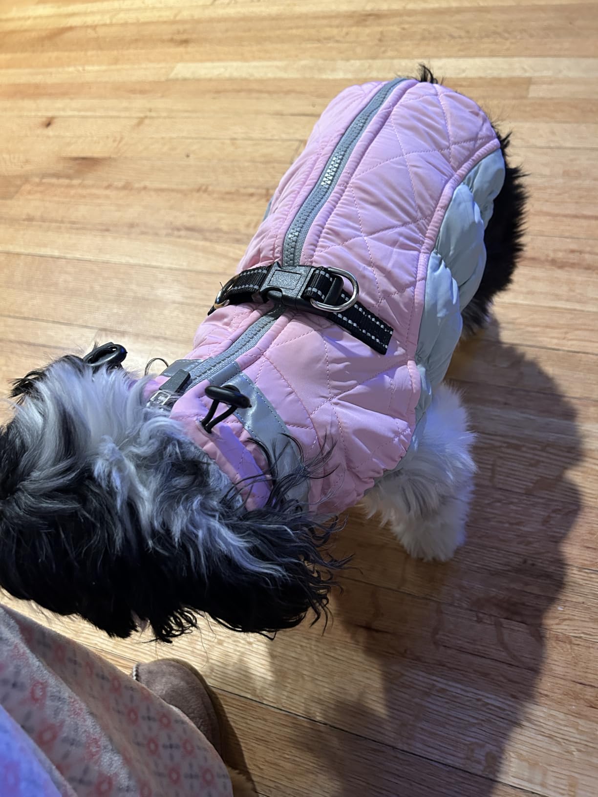 AOFITEE Dog Coats for Medium Dogs Waterproof Dog Winter Jacket with Harness customer photo 1