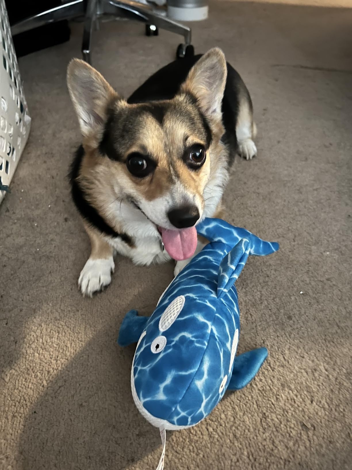 TrustyPup Strong 'N Silent Platypus Silent Squeak Plush Dog Toy, Chew Guard Technology - Brown, Large customer photo 1