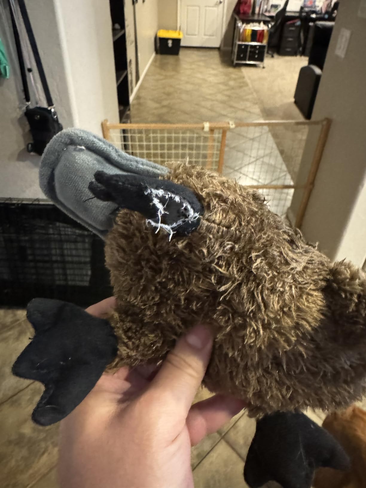 TrustyPup Strong 'N Silent Platypus Silent Squeak Plush Dog Toy, Chew Guard Technology - Brown, Large customer photo 2