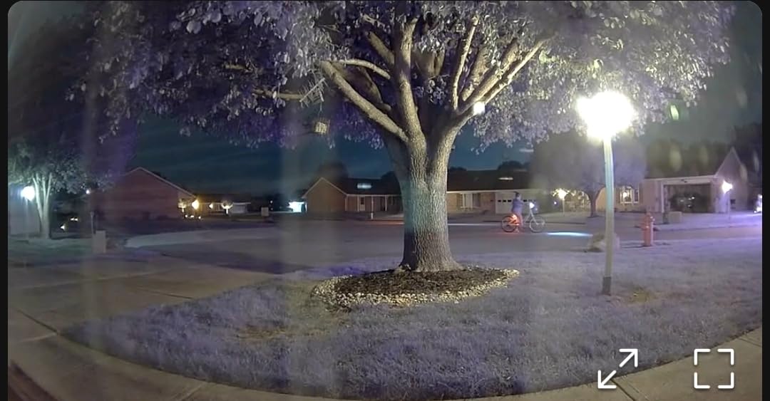 Ring Indoor Cam, Home or business security in 1080p HD video, White customer photo 1