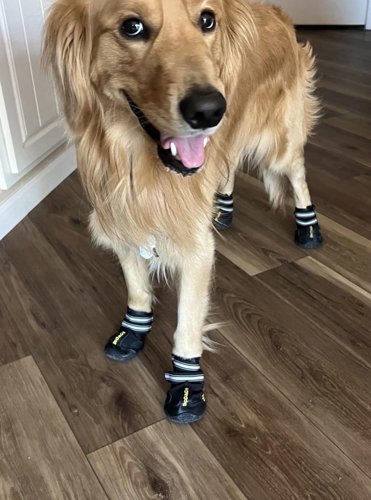 DcOaGt Dog Shoes Large Size Dogs,Dog Booties for Hot Pavement Winter Snow customer photo 2