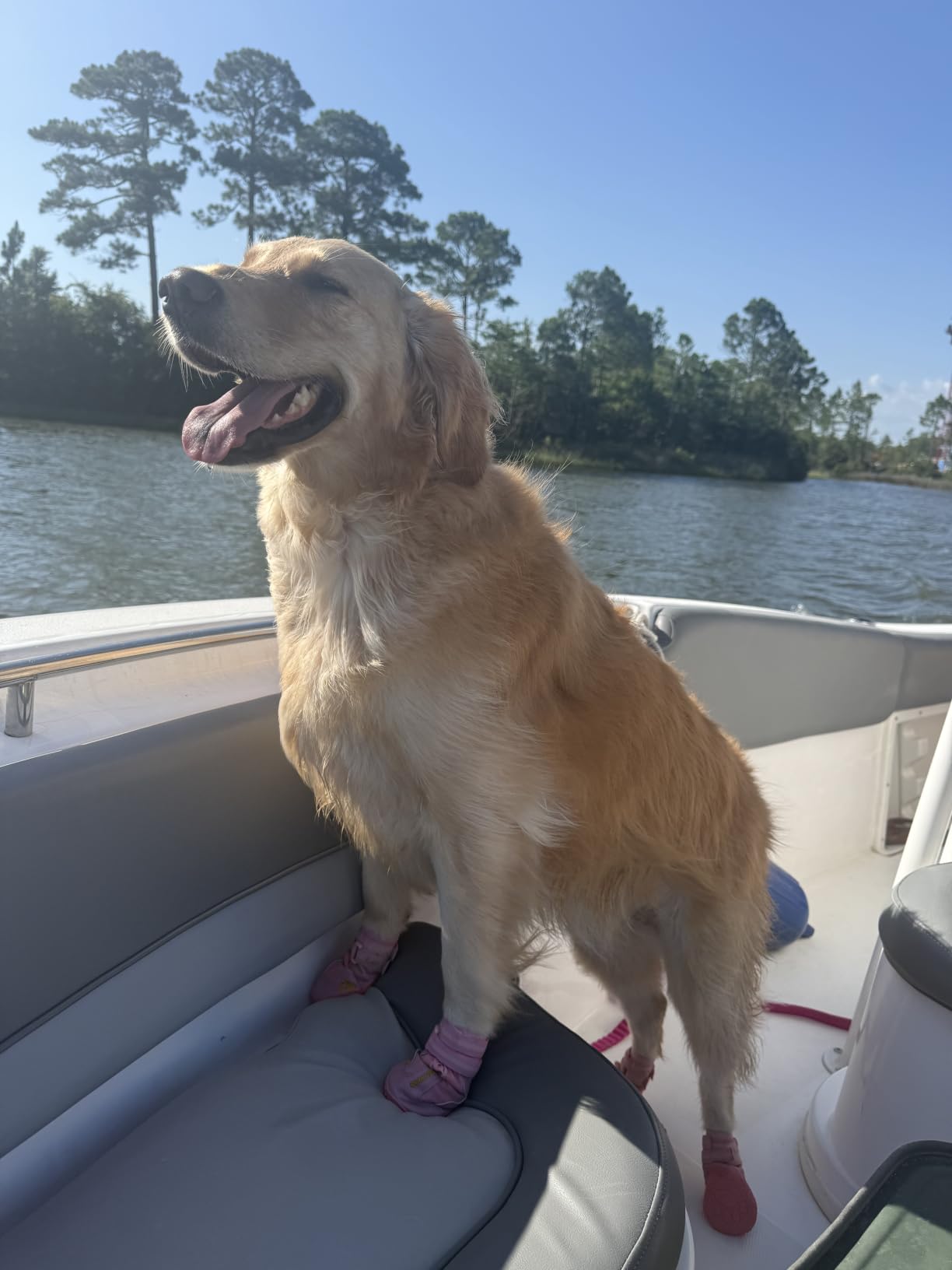 QUMY Dog Shoes for Hot Pavement, Dog Snow Boots & Paw Protectors for Winter customer photo 1