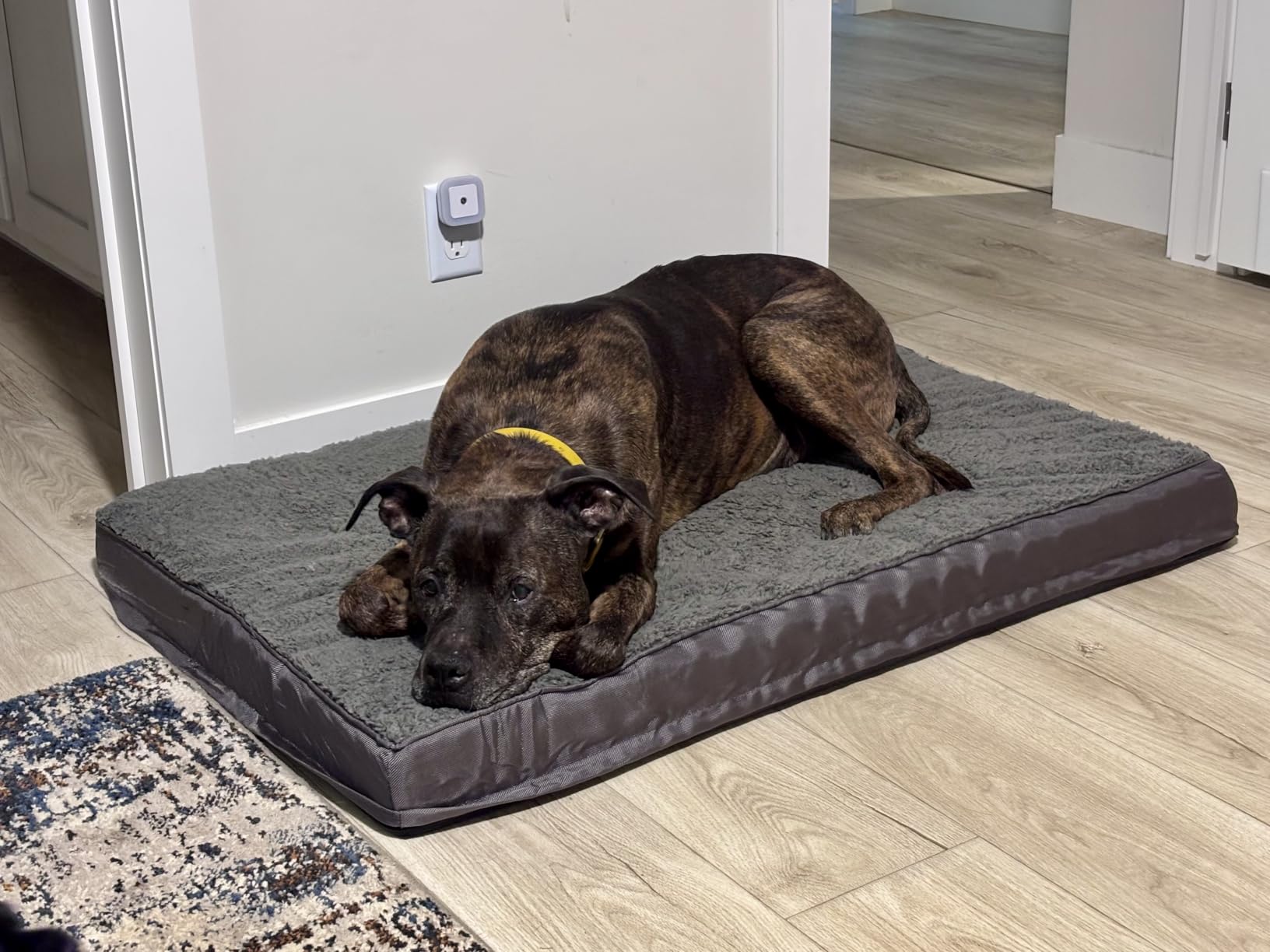 EHEYCIGA Orthopedic Dog Bed Large with Removable Washable Cover, 44IN Grey customer photo 2