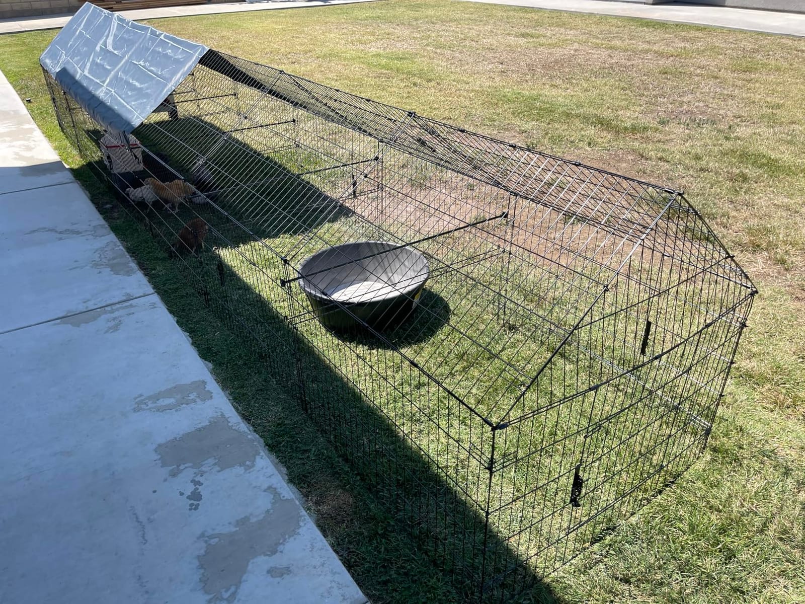 Chicken Coop, 130