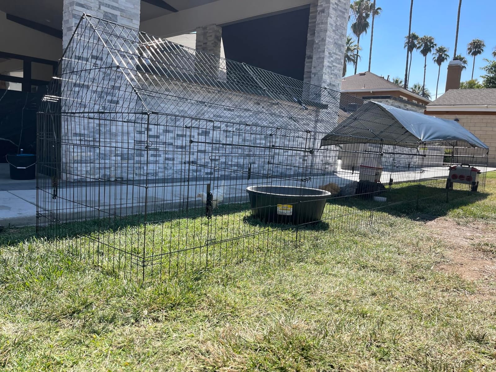 Chicken Coop, 130