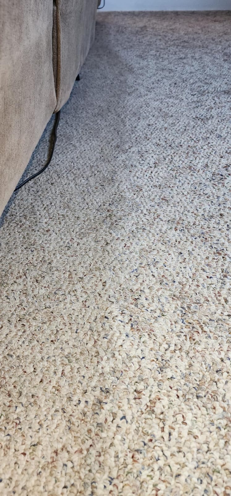 BISSELL ProHeat 2X Revolution Pet Turbo Upright Carpet Cleaner, 35799 customer photo 1