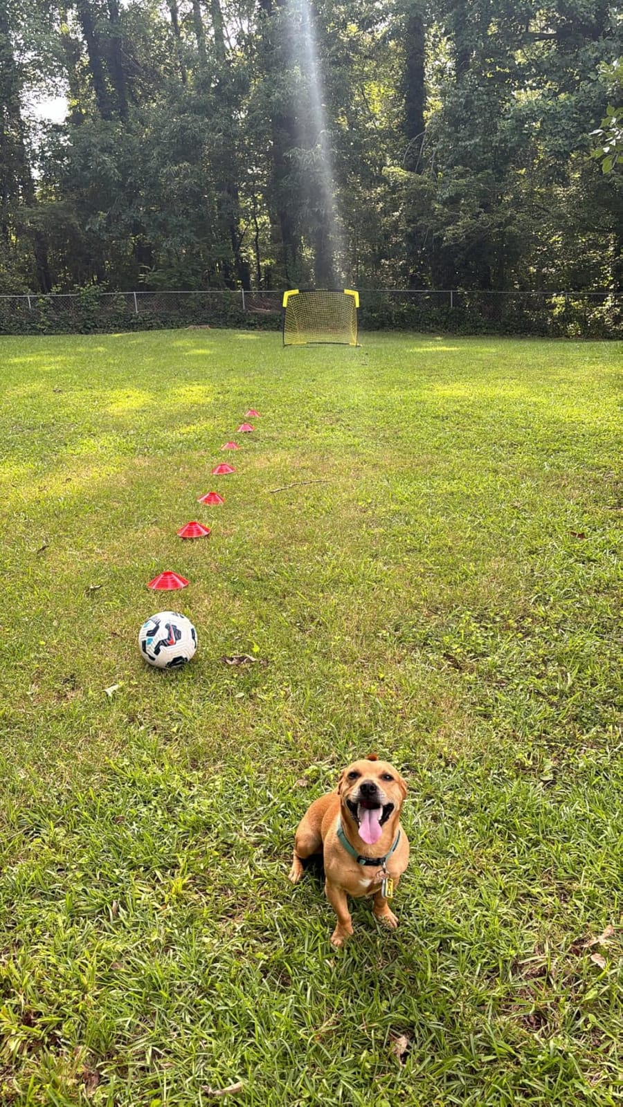 Happy Jump Portable Soccer Goal 7x5 & 5x3.6 FT, Large-Frame Training Net customer photo 2