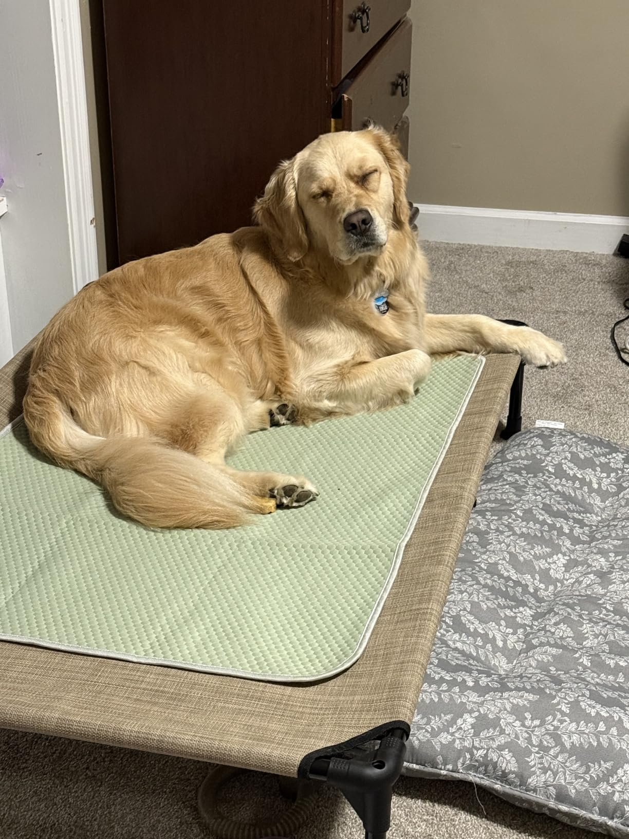 Veehoo Outdoor Elevated Dog Bed Large Sized Dogs, XXL Cooling Raised Dog Cots Beds Training Platform Off Ground Hammock with Breathable Mesh, No-Slip Feet, 59