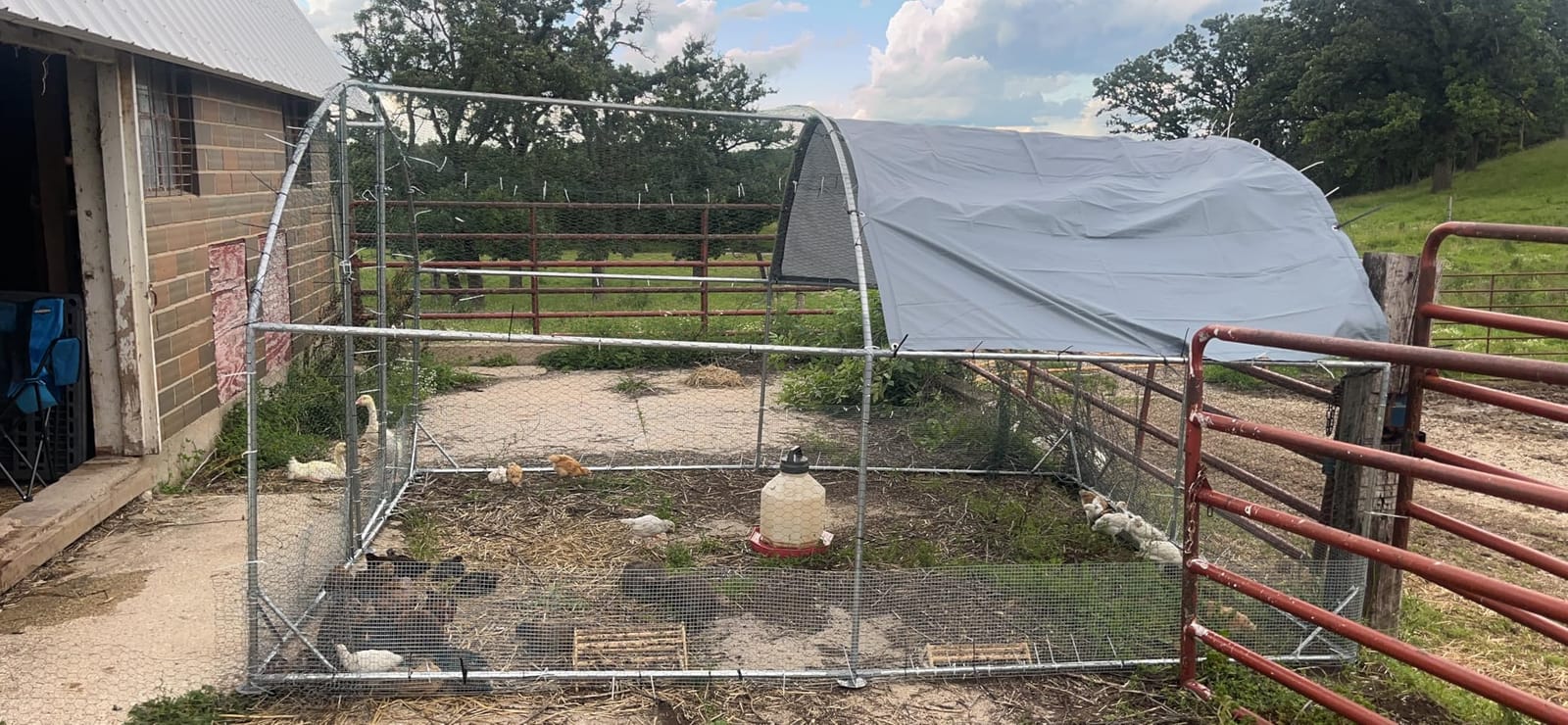 TOLEAD Large Metal Chicken Coop Upgrade Tri-Supporting Wire Mesh Chicken Run,Chicken Pen with Water-Resident and Anti-UV Cover,Duck Rabbit House Outdoor(156.1