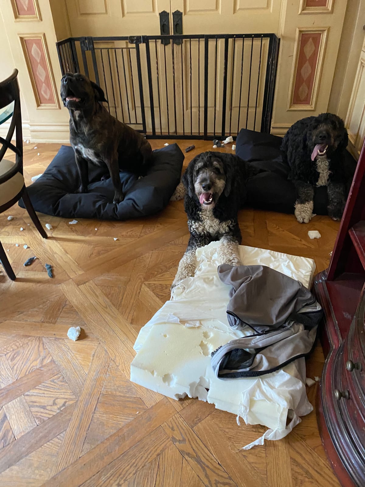 K9 Ballistics Tough Rectangle Pillow Dog Bed, Medium, Obsidian Black | Durable, Removable Washable Cover, Soft Shredded Foam Mattress Made in the USA, M: 33