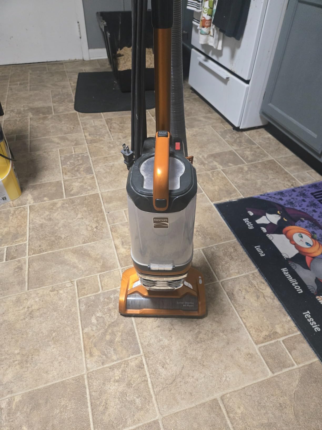 Kenmore Lightweight Bagless Upright Vacuum Cleaner customer photo 1