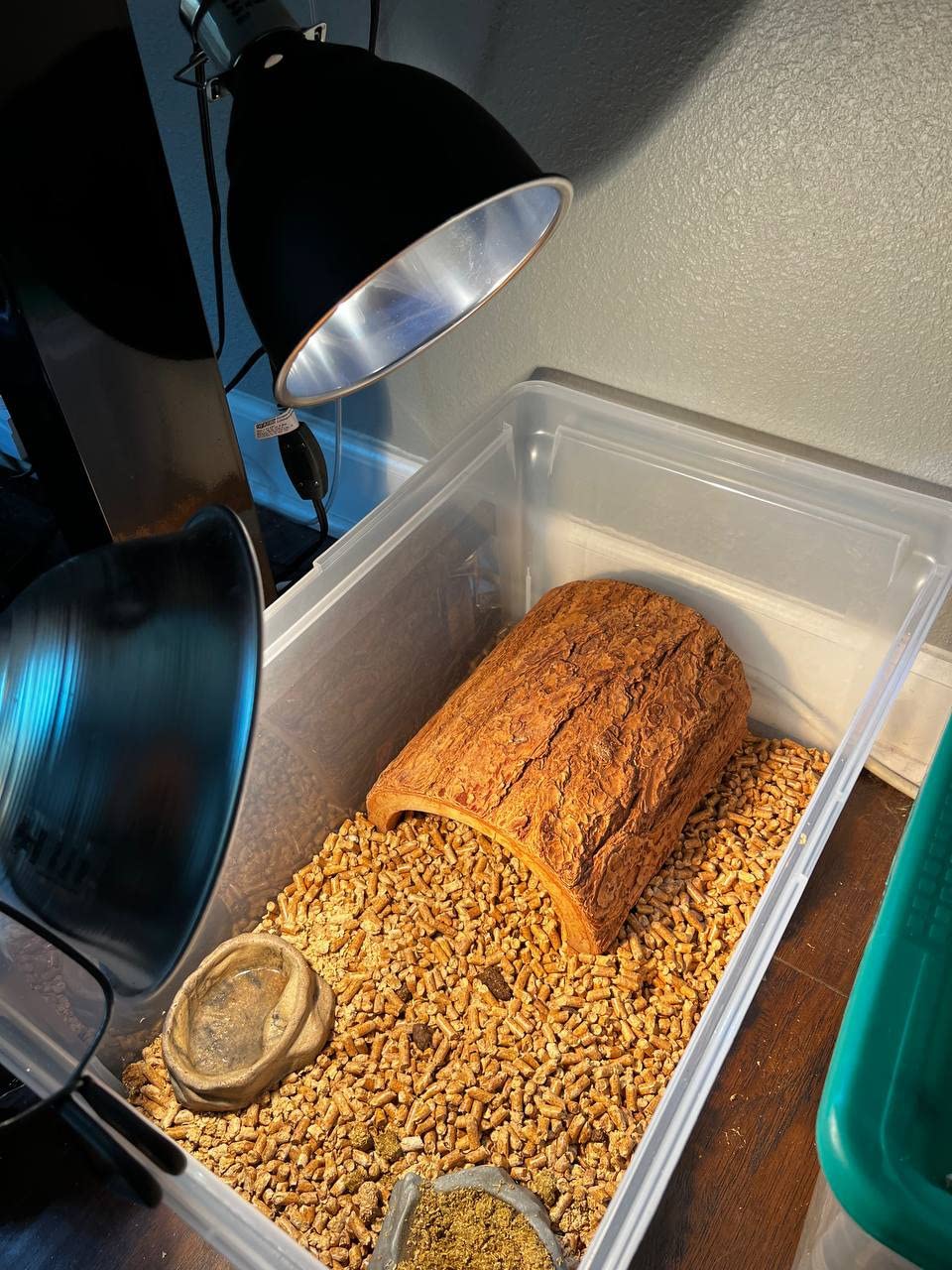 Premium High-Intensity UVB Reptile Light for Optimal Calcium Metabolism,5-Watt 10.0 Desert UVB Light Ideal for Desert-Dwelling Reptiles Bearded Dragons Tortoises customer photo 2