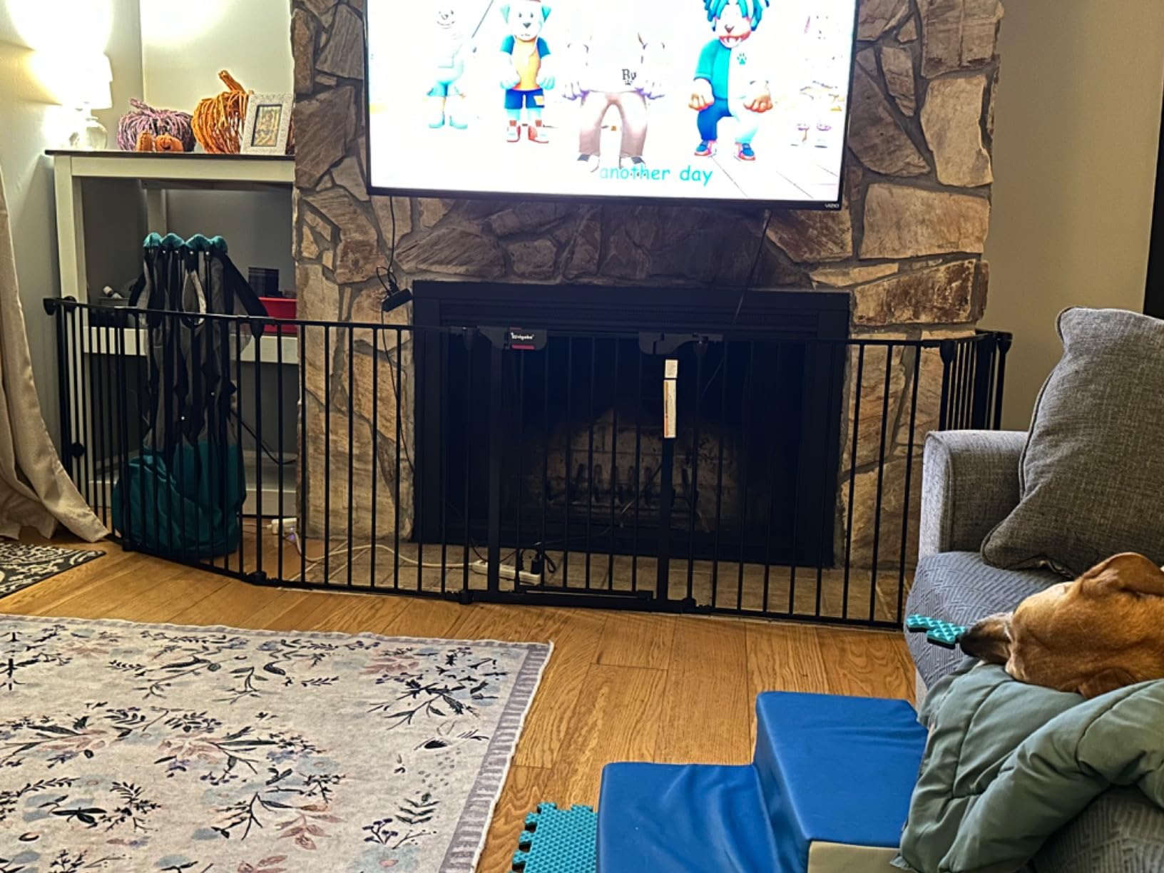 Baby Gate 27.5