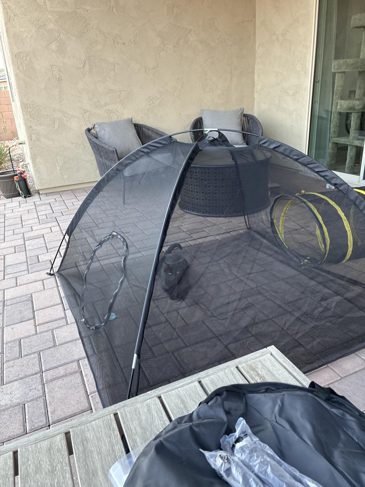Outdoor Cat Enclosures for Indoor, Portable Mesh Tent, Outdoor pet Tunnel, Cat Playhouse with Adjustable Cat Harness and Leash for Walking, Colorful Tease Ball for Small Animals customer photo 2