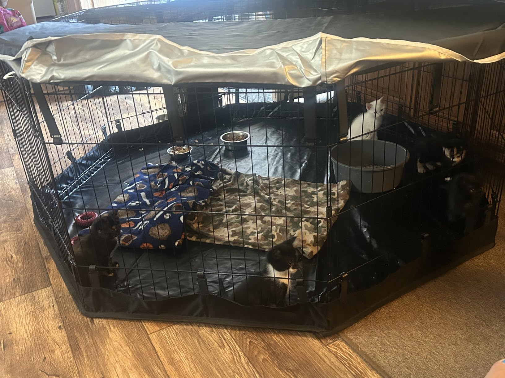 PJYuCien Puppy Playpen with Bottom Pad and Door, 8 Panels 24