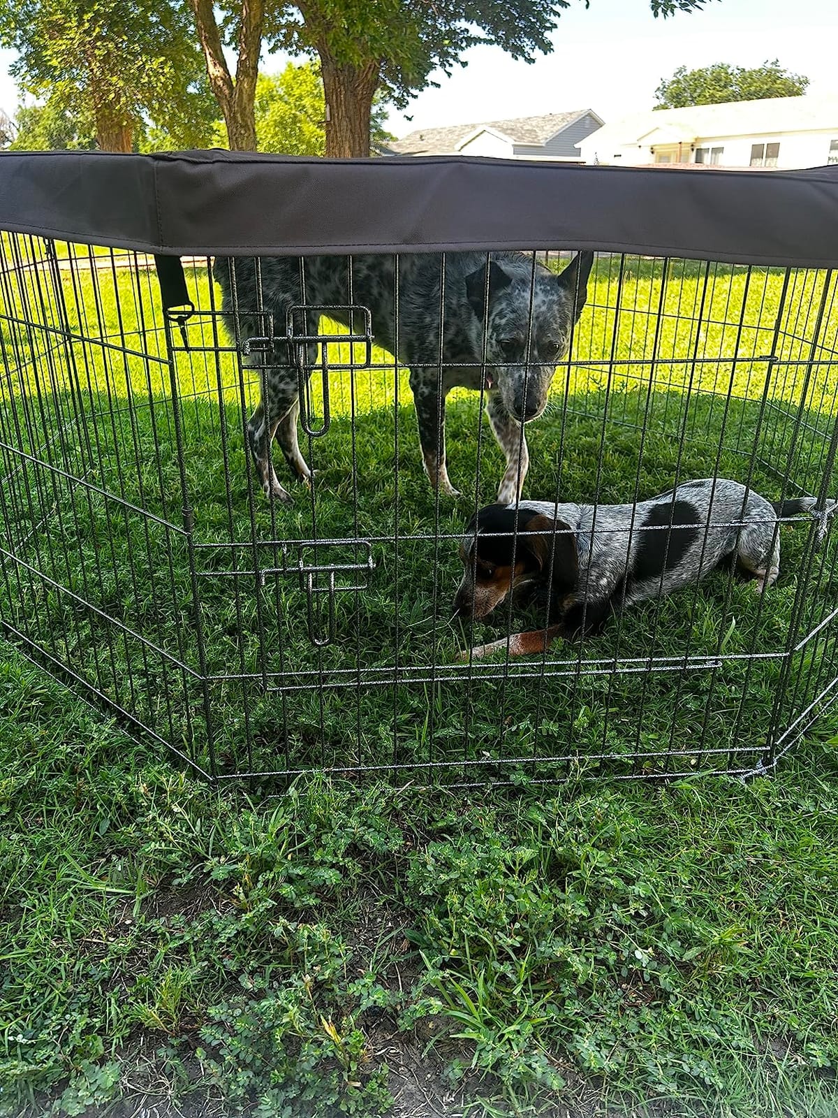 NEZUC Foldable Metal Dog Exercise Playpen Gate Fence Dog Crate 8 Panels 24 Inch Height Puppy Kennels with Top Cover/Bottom Pad for Animals Outdoor Indoor (Playpen+Top Cover, Brown, 24