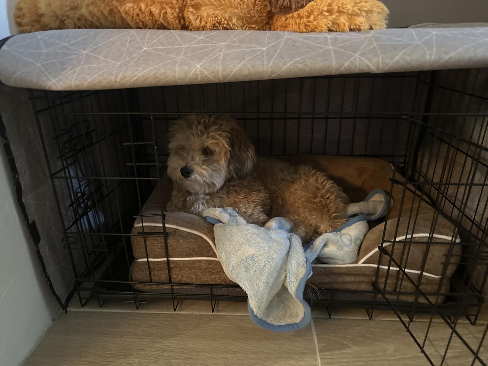 Explore Land Pattern Dog Crate Cover, 24 Inches (Brief Polygonal) customer photo 1