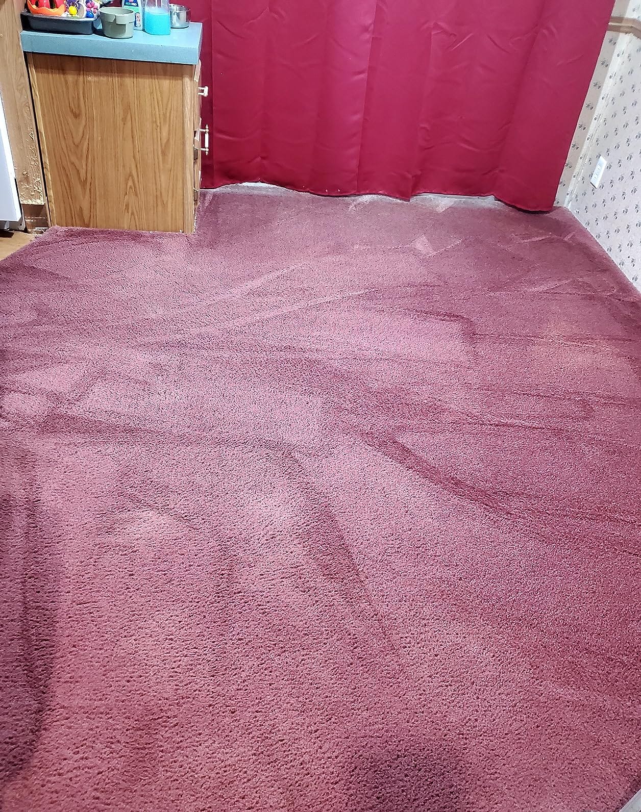 BISSELL Revolution HydroSteam Pet Carpet Cleaner, 3432 customer photo 1