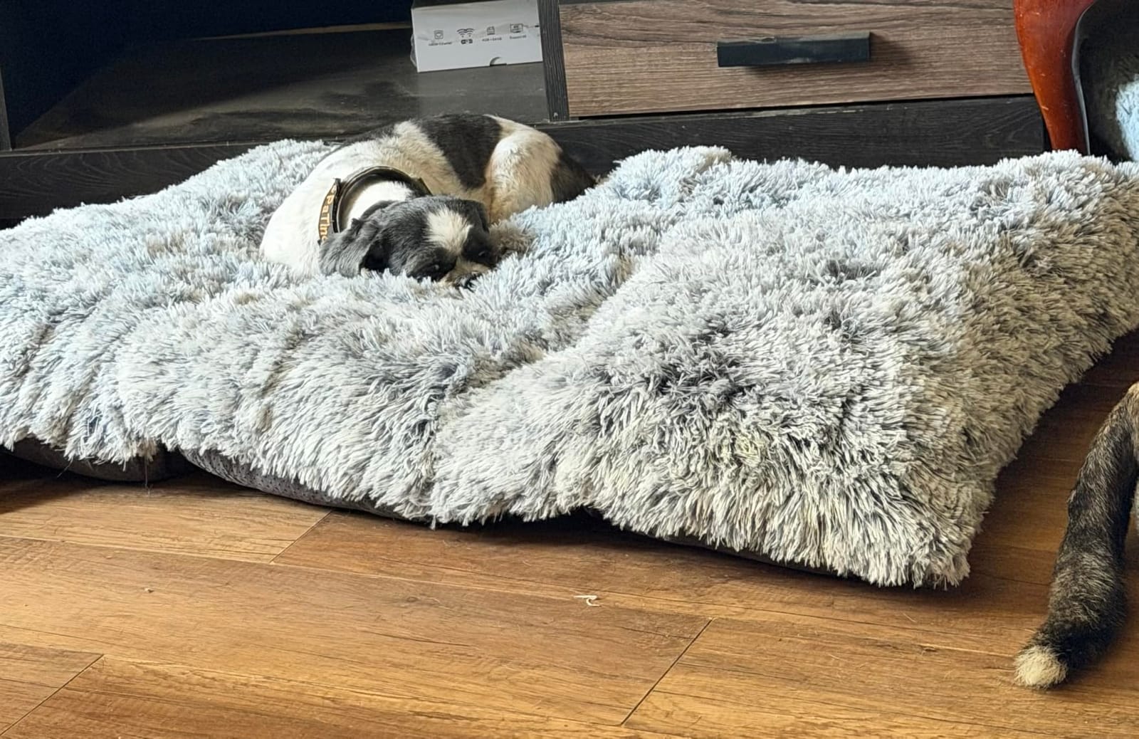 EHEYCIGA Fluffy Dog Crate Bed, Plush Extra Large Dog Pillow, Grey customer photo 1