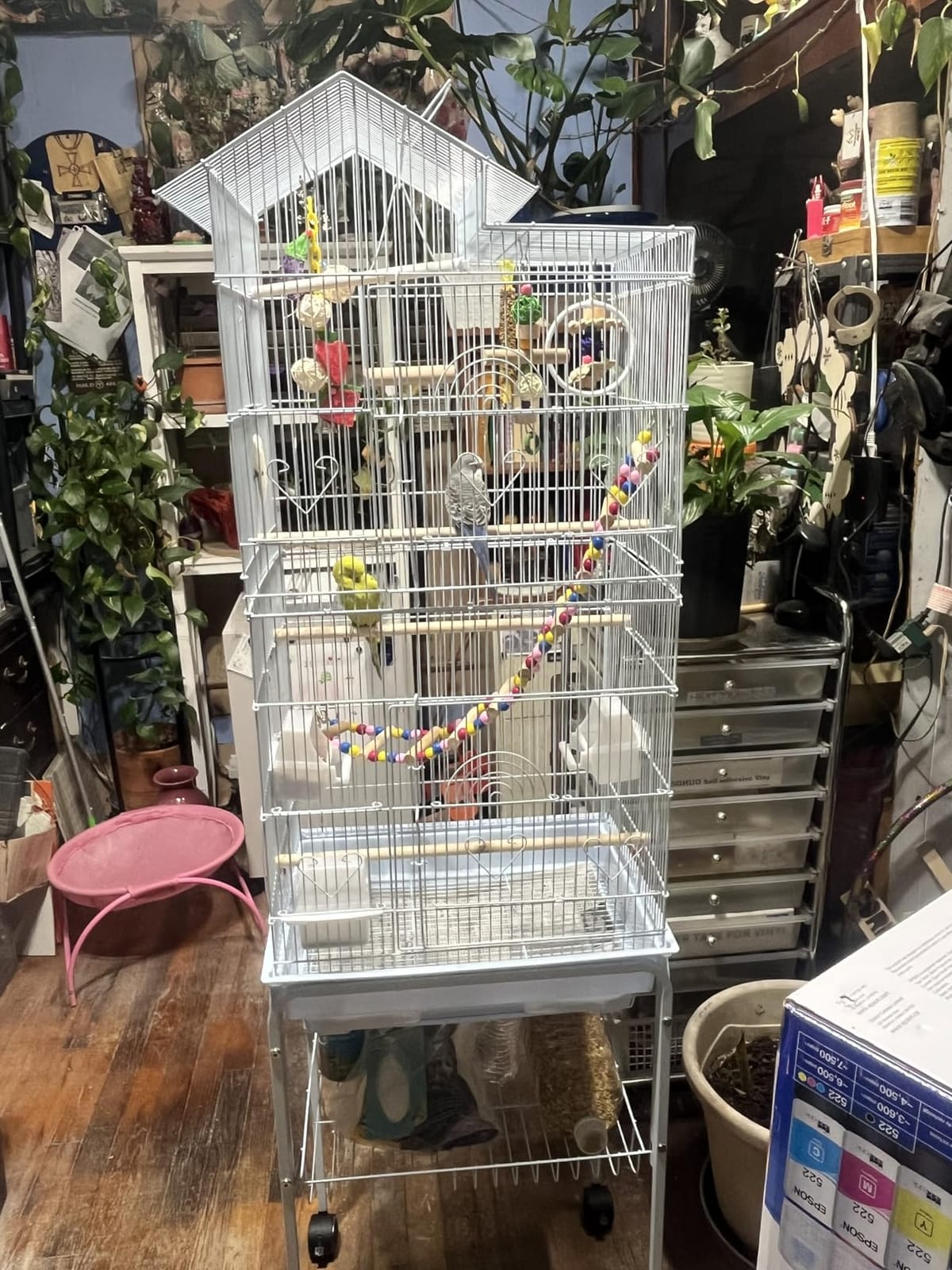 YITAHOME 62 inch Metal Bird Cage, Large Parakeet Cages customer photo 1