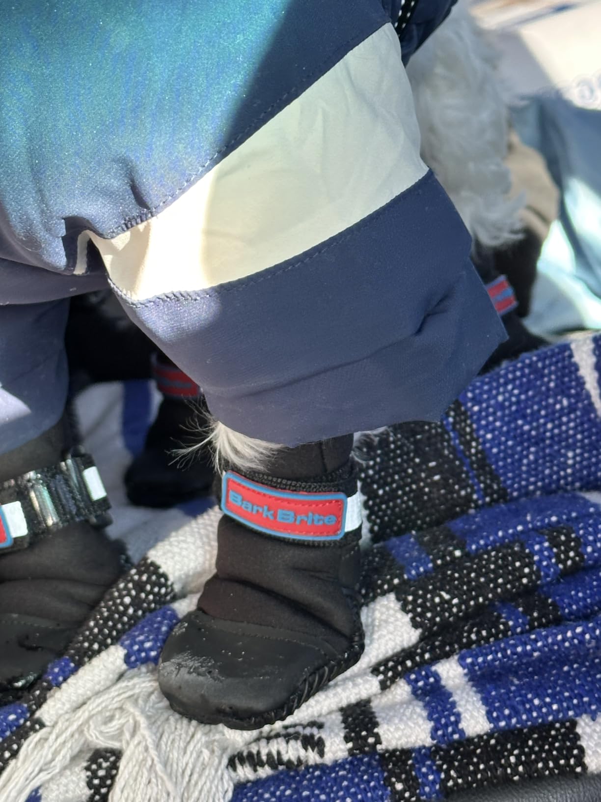 All Weather Neoprene Paw Protector Dog Boots with Reflective Straps in 5 Sizes! (Turquoise Large) customer photo 1
