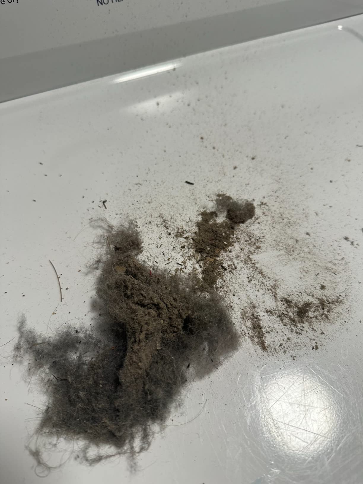 Dyson Cyclone V10 Animal Cordless Vacuum Cleaner customer photo 2