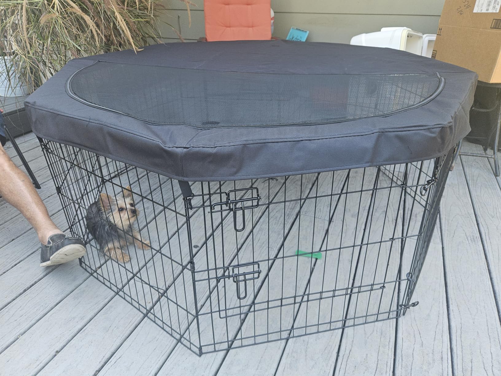 Peekaboo DogPlaypen 24 in-8 Panel Metal Rustproof Pet Fence with Top Cover customer photo 1
