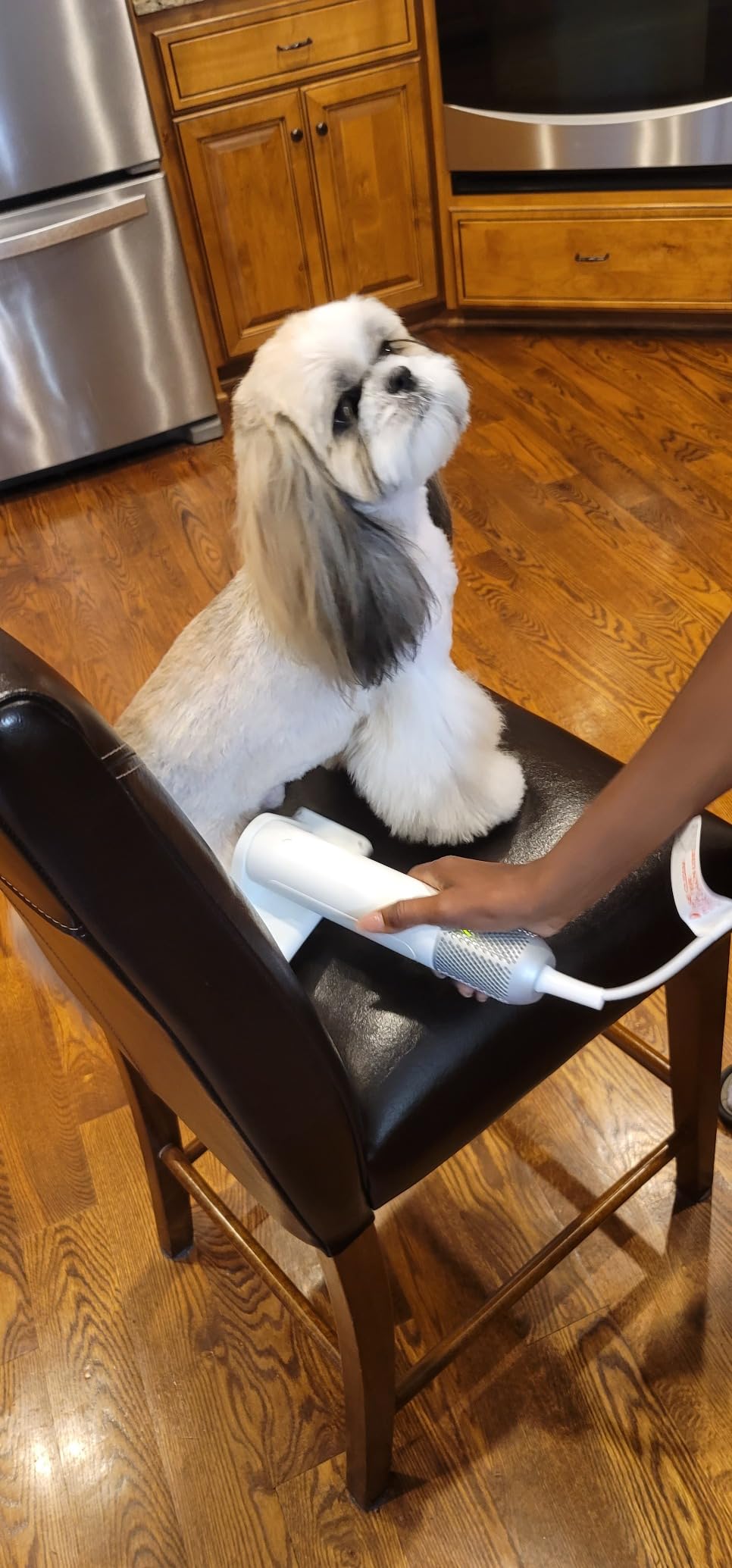 2 in 1 Grooming Kit for Pet-Dog Hair Dryer & Professional Grooming Brush for Frizzy Dog Hair Styling-1.21lb Lightweight Handhold Portable High Velocity Force Blower+4 Replacement Nozzle at Home Travel customer photo 2