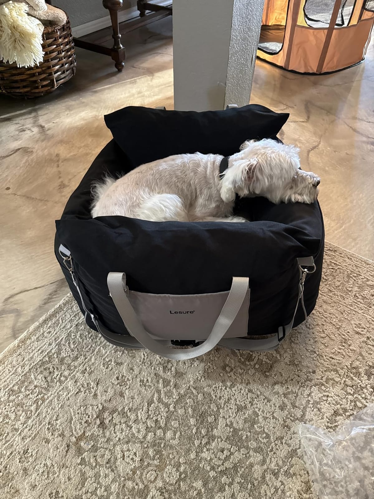 Lesure Dog Car Seat for Small Dogs,Booster Car Bed for Puppy Under 25lbs customer photo 1