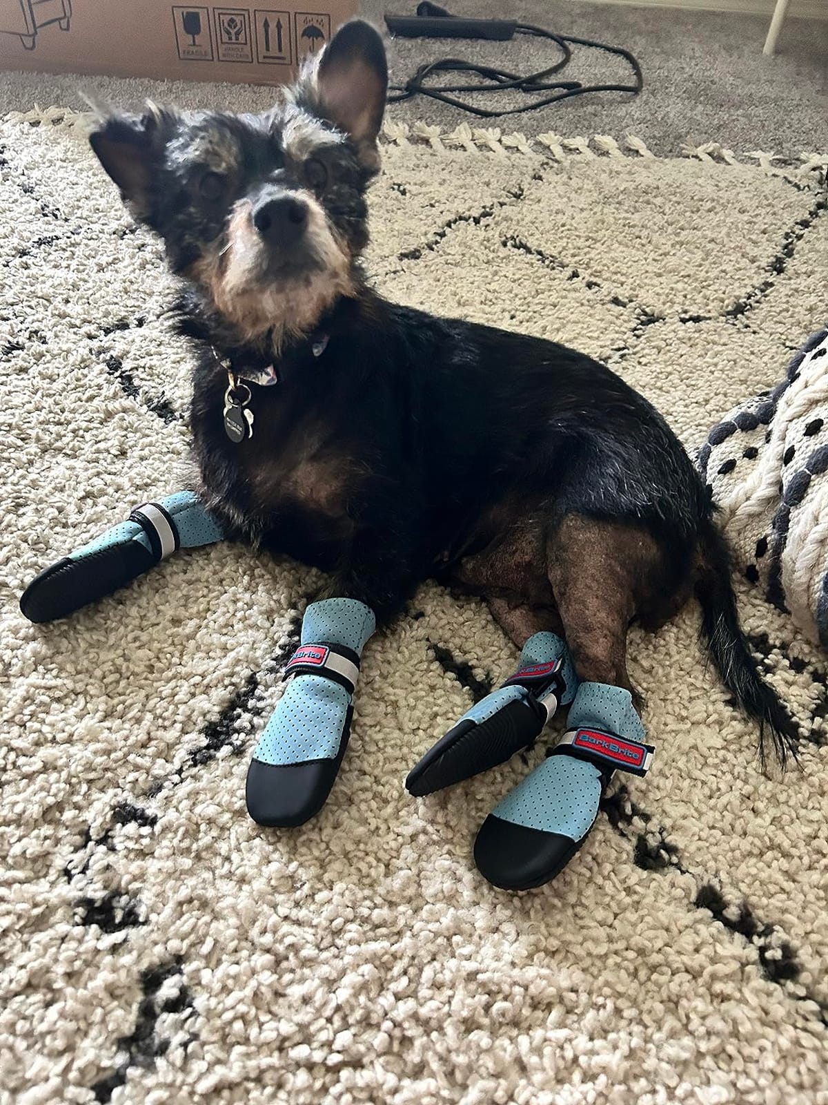 Bark Brite Lightweight Neoprene Paw Protector Dog Boots Designed for Comfort and Breathability in 5 Sizes (Boat Boot XXL) customer photo 2