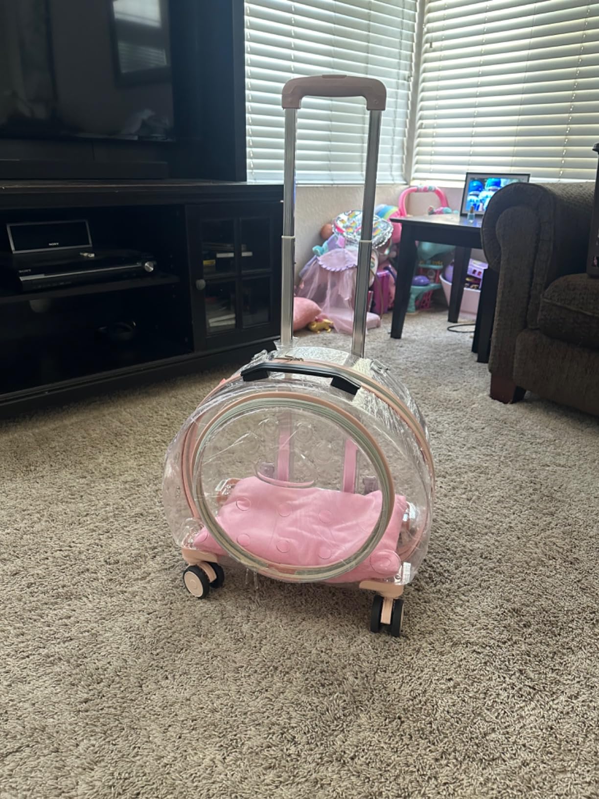 Transparent & Fully Breathable Hard cat Carrier with Rolling Wheels customer photo 2