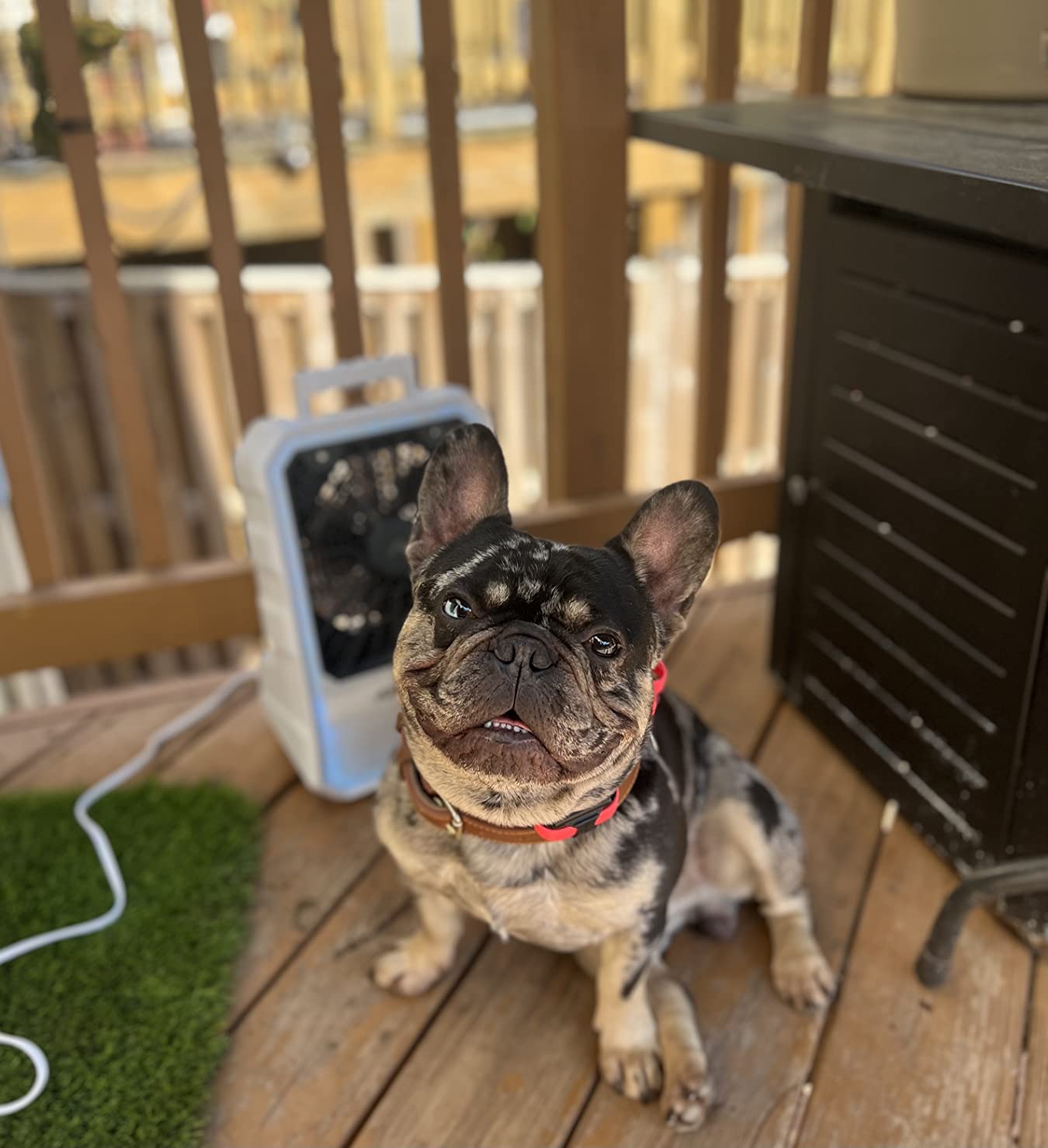Arctic Air Outdoor Evaporative Cooler, Portable & Ultra-Quiet Air Cooler with 4 Fan Speeds, USB Rechargeable, 6-Hour Battery Life, Great for the Beach, Pool, Deck, Garden & More,White customer photo 1