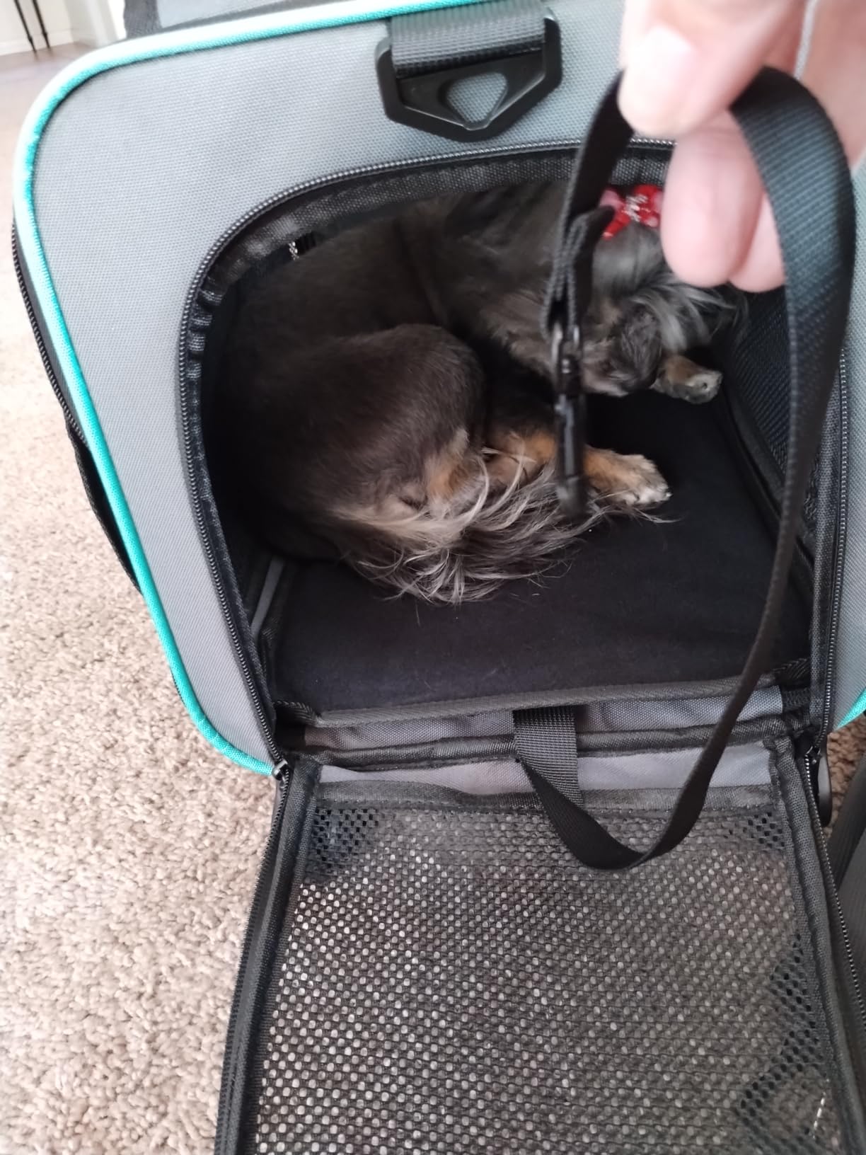 Paw Ballet Pet Carrier with Wheels, Durable Airline Approved Cat Crate, Foldable Rolling Dog Carrier, Rolling Bag for Cat &Dog, Use for Travel, Outdoor, Vet Visits, Camping, Indoor. customer photo 1