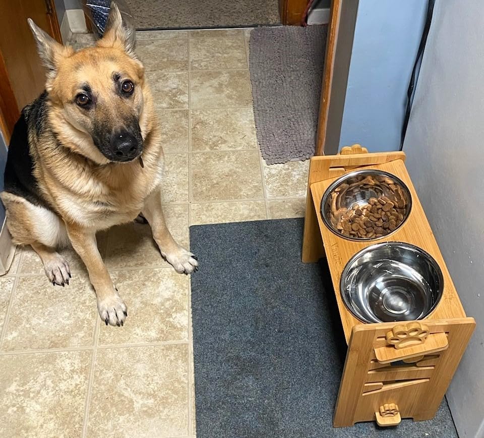 Vantic Elevated Dog Bowls, Adjustable Bowl Stand Large/XLarge, Rustic Brown customer photo 2