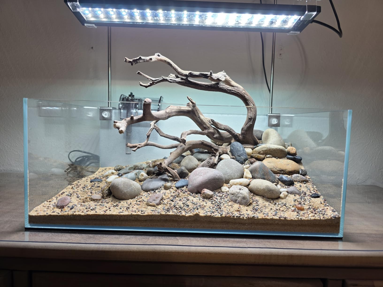 FZONE 9 Gal Shallow Aquarium, Low Iron Glass, Rimless Design (L60-W36) customer photo 2