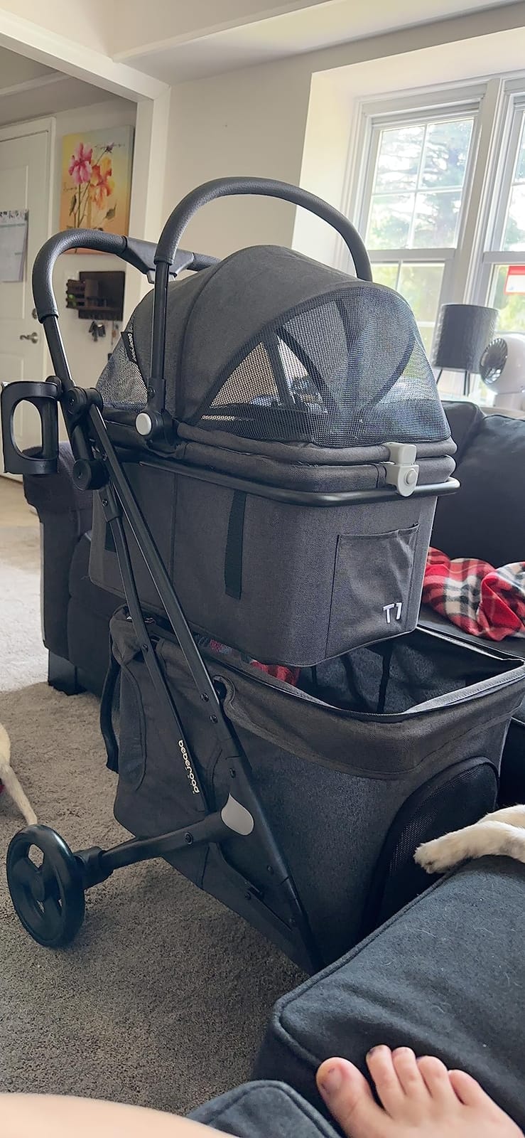 T1 Double Pet Stroller for Small Dogs & Cats (Black) customer photo 1