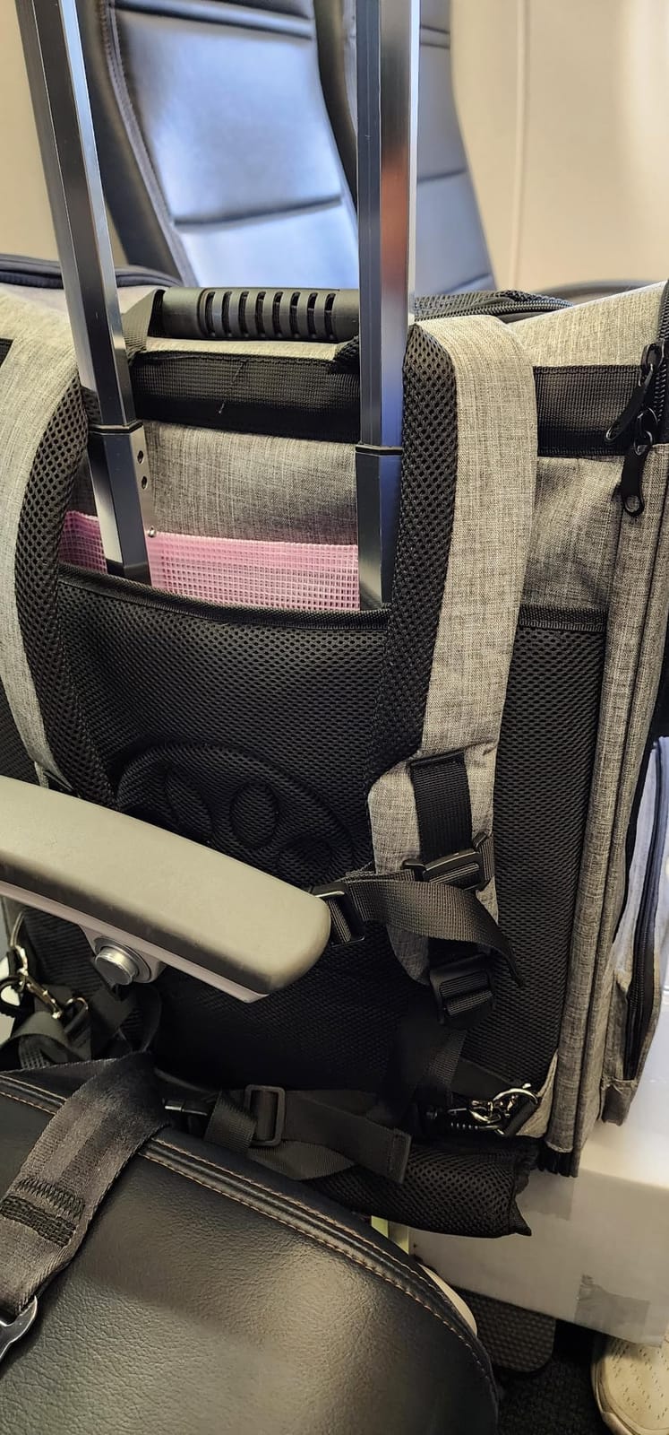 Extra Large Cat Backpack Carrier with Wheels for Cats Under 30 Lbs customer photo 2