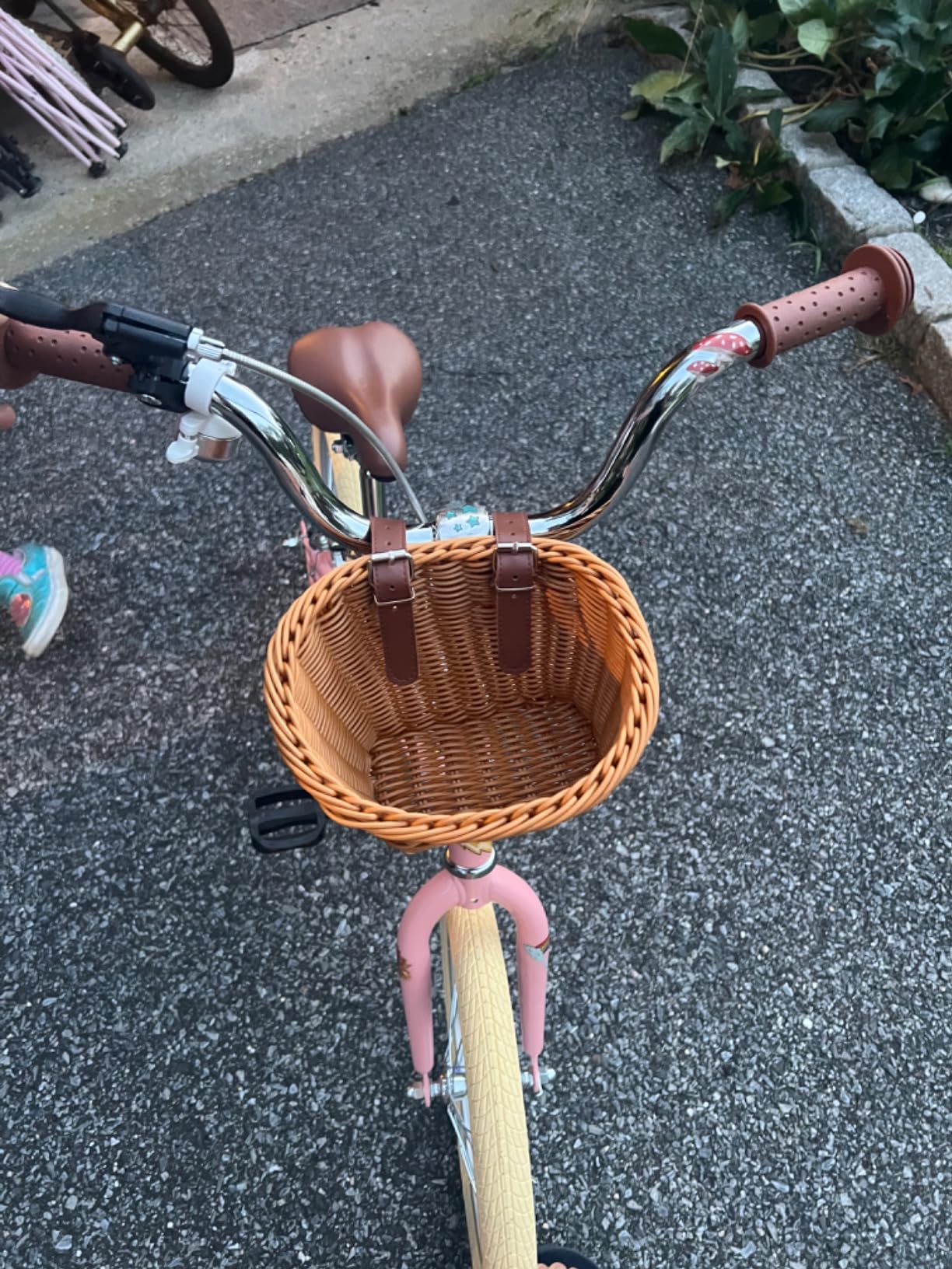 Retrospec Beaumont Mini 16in Kids Bike with Training Wheels & Basket - Beginner Bicycle for 4-6 Year Olds, Low-Profile Frame, V-Brakes & Safety Bell customer photo 2