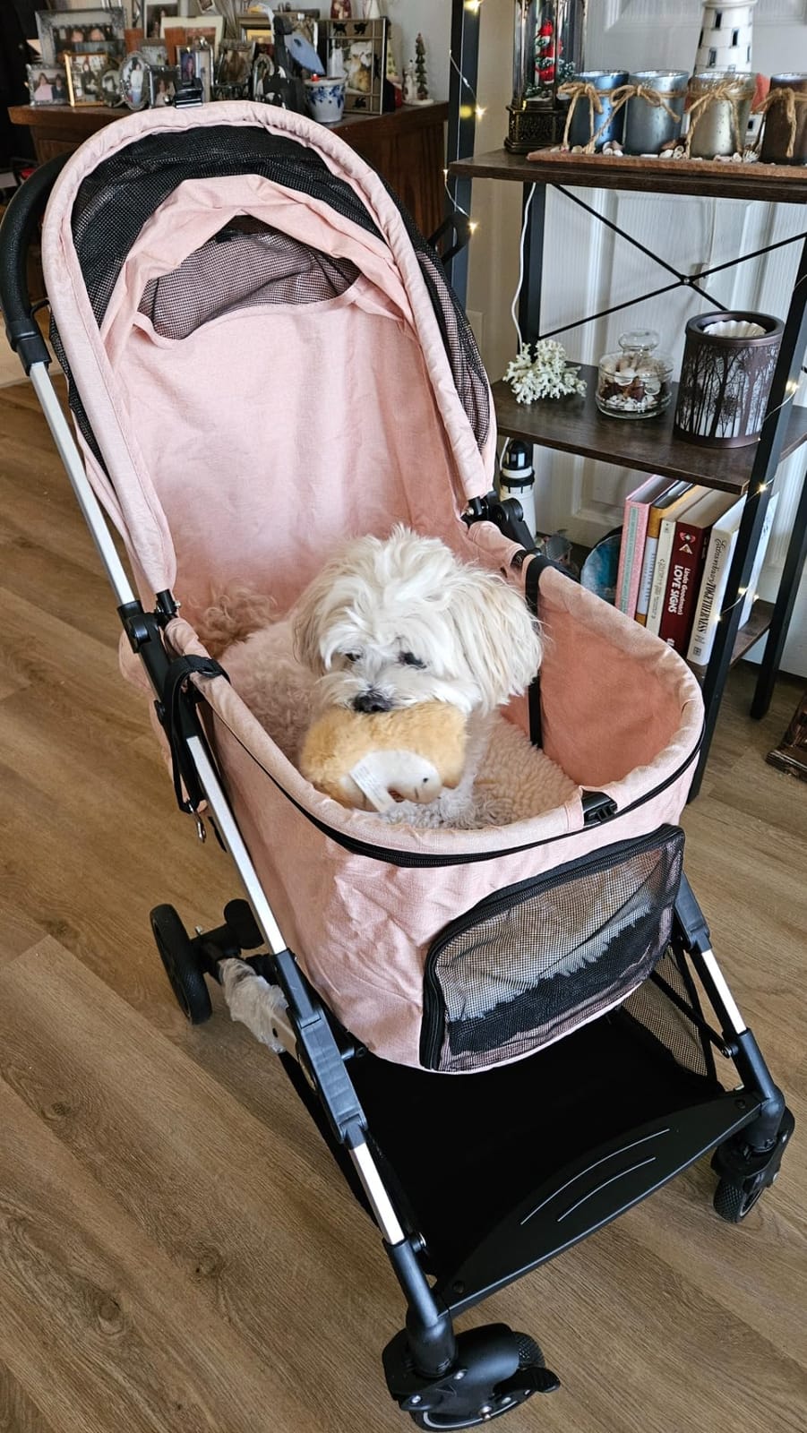 Medium Dog Stroller, Kenyone Pet Stroller for Medium Dogs Up to 55lbs, Lightweight Aluminum Frame, One Click Folding, Large Cat Stroller with No Zip Entry, Detachable Mesh, Multiple Pockets customer photo 1