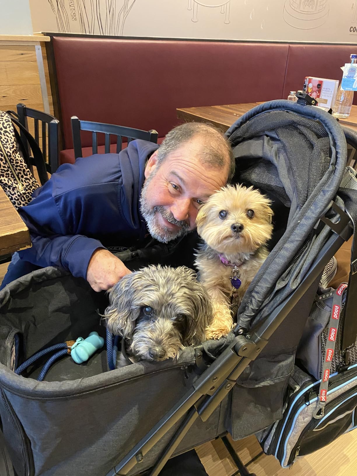 Medium Dog Stroller, Kenyone Pet Stroller for Medium Dogs Up to 55lbs, Lightweight Aluminum Frame, One Click Folding, Large Cat Stroller with No Zip Entry, Detachable Mesh, Multiple Pockets customer photo 2