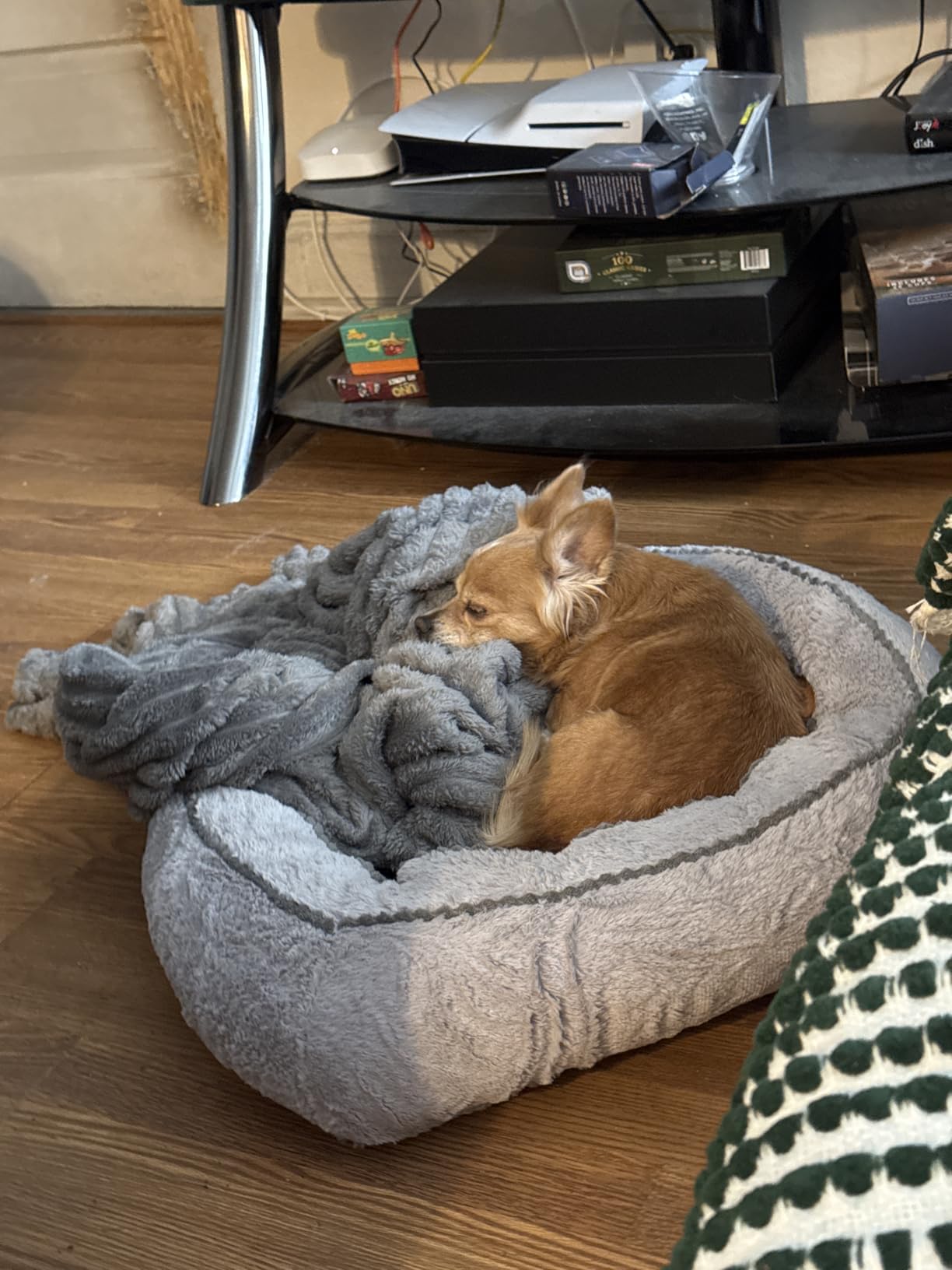 Dog Beds for Medium Small Dogs, Washable Pet Bed customer photo 1