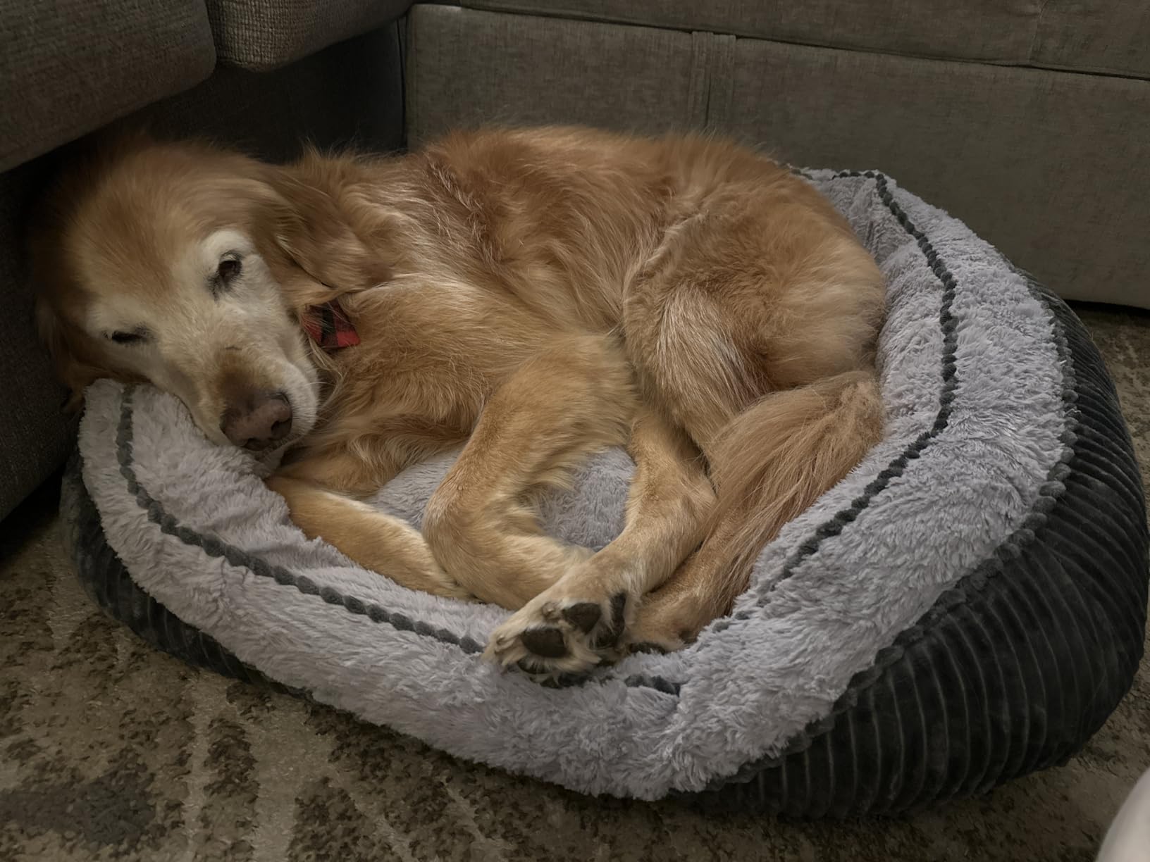 Dog Beds for Medium Small Dogs, Washable Pet Bed customer photo 2