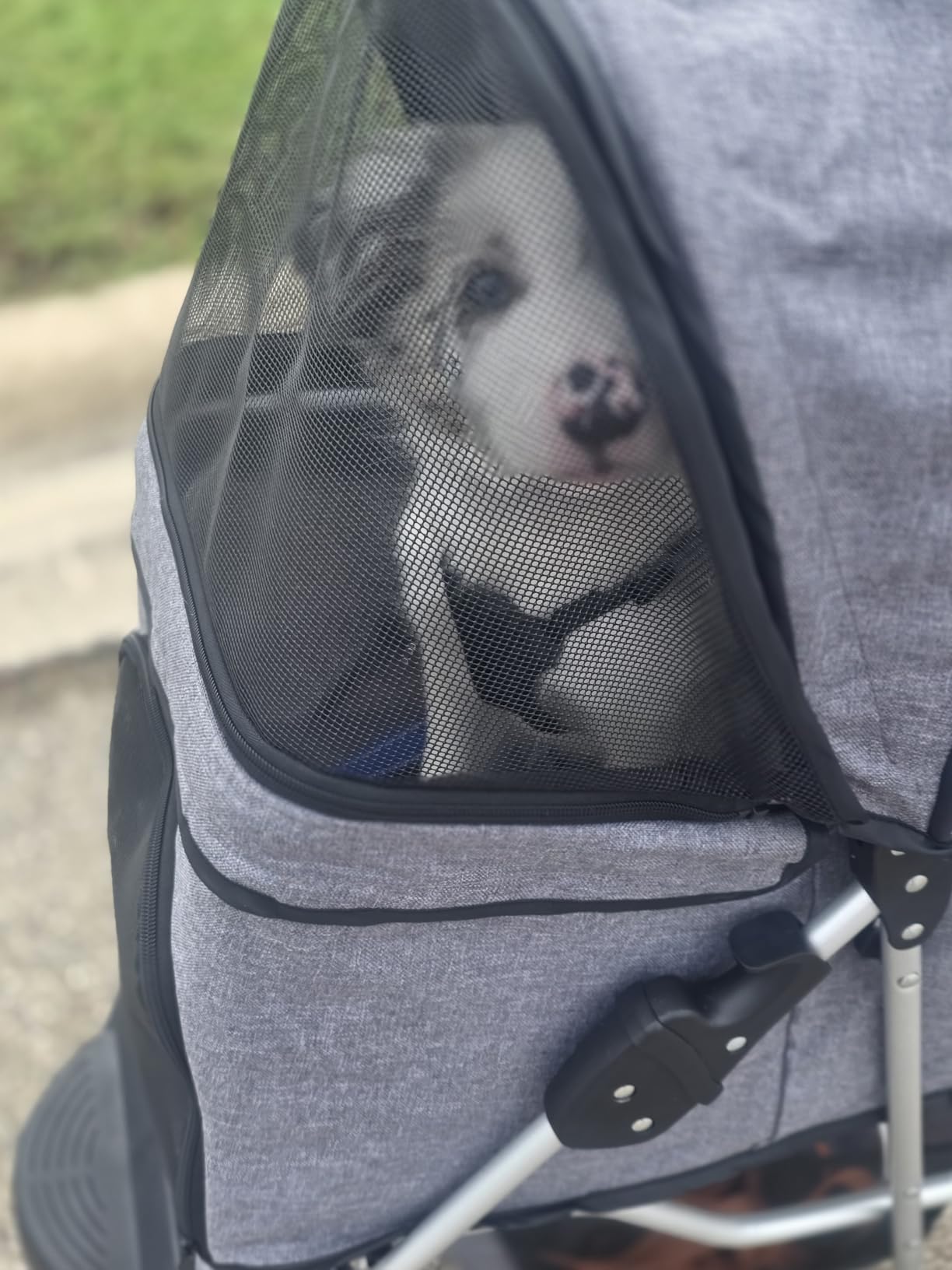 MoNiBloom Pet Stroller for Small/Medium Dogs and Cats up to 33 lbs, Blue customer photo 1