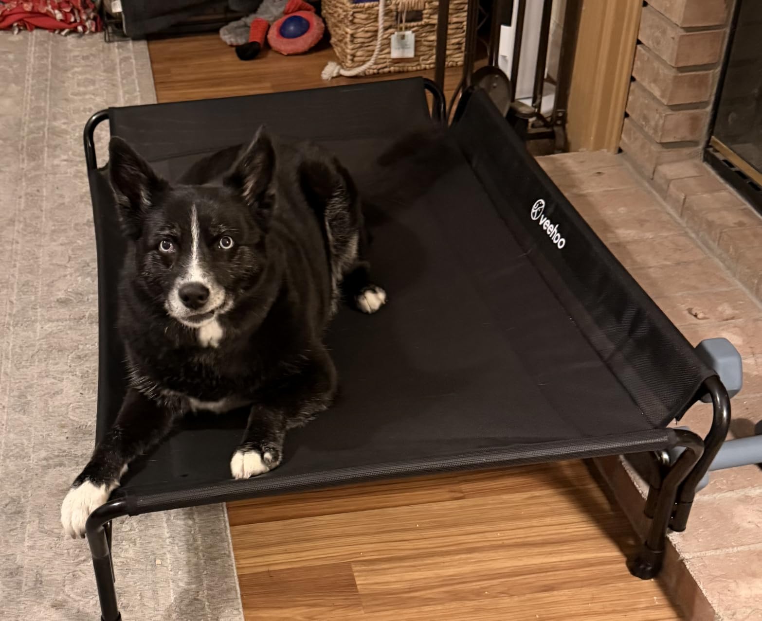 Veehoo Cooling Elevated Dog Bed, Raised Dog Cot with Guardrail & Headrest | Washable Dog Couch Bed for Indoor & Outdoor, Durable Breathable Teslin Mesh, Non-Slip Feet, Large 47
