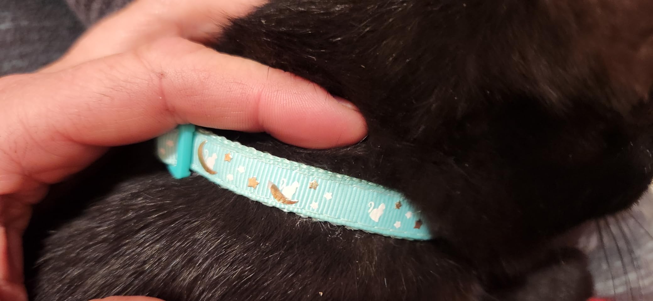 Baeuppit 2Pcs Breakaway Cats Collars Cat Collars for Boy & Girl Cats Adjustable Kitten Collars with Bell,Black+Gray customer photo 1