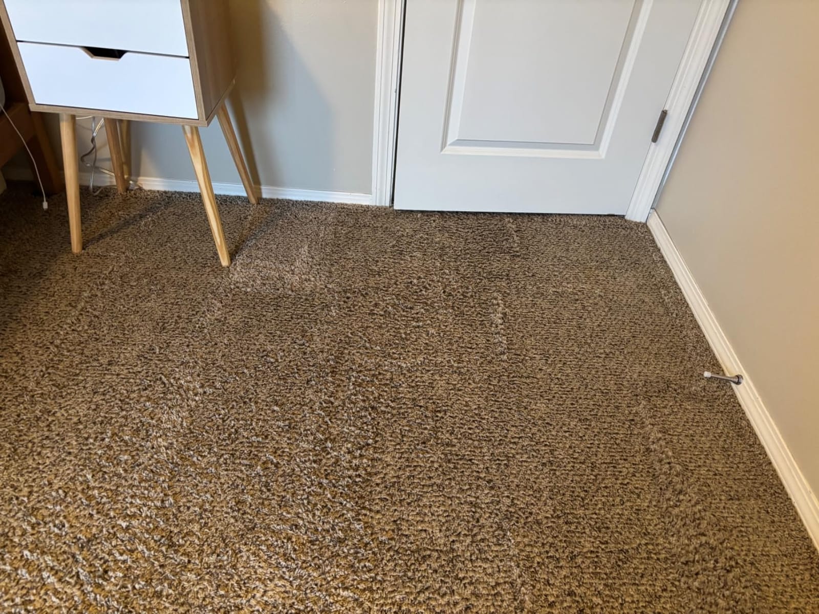 BISSELL TurboClean Pet XL Upright Carpet Cleaner, 3746 customer photo 2